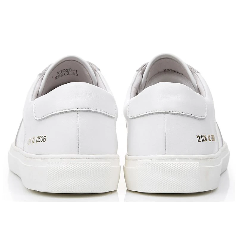 product-800-800 -08