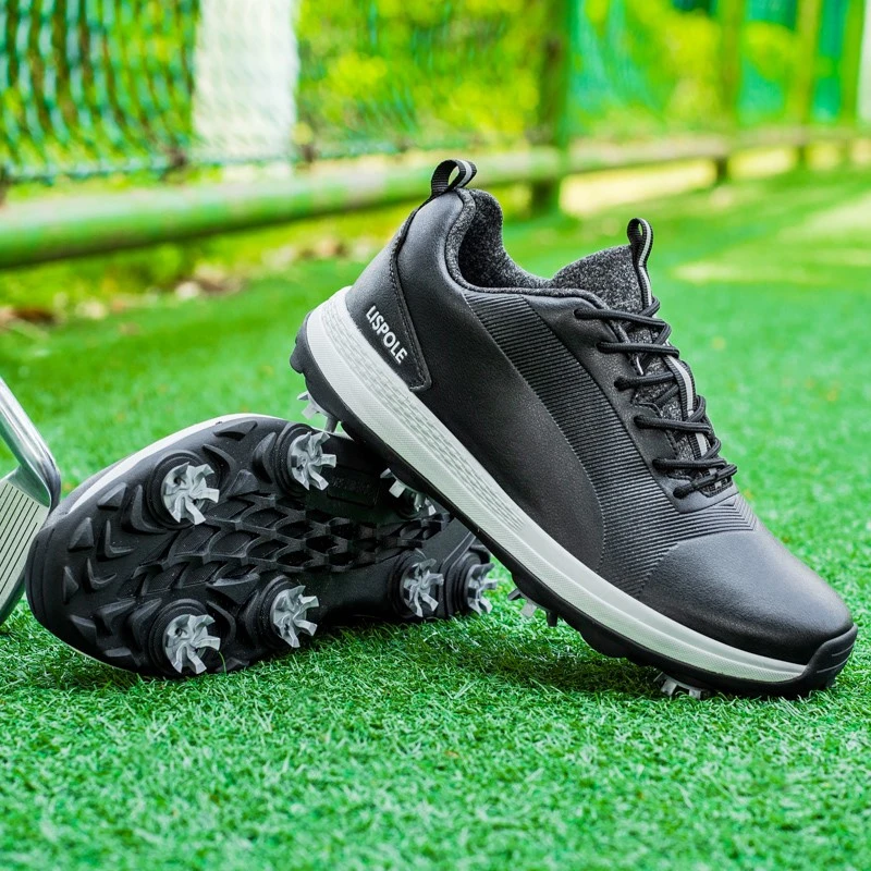 product-800-800
